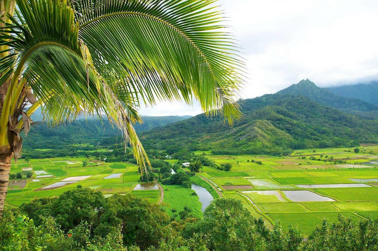 Waipouli Beach Resort Beautiful Luxury Ground Level Garden View Ac Pool! Kapa'a Exterior photo